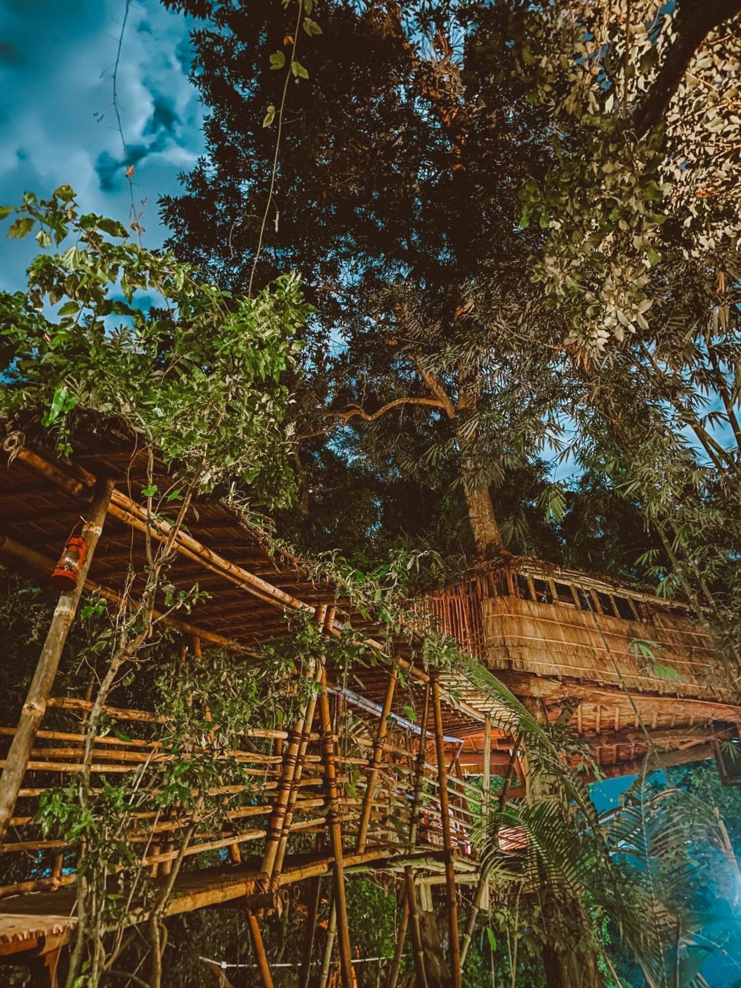 Bukit Raya Guesthouse ปาลังการายา ภายนอก รูปภาพ