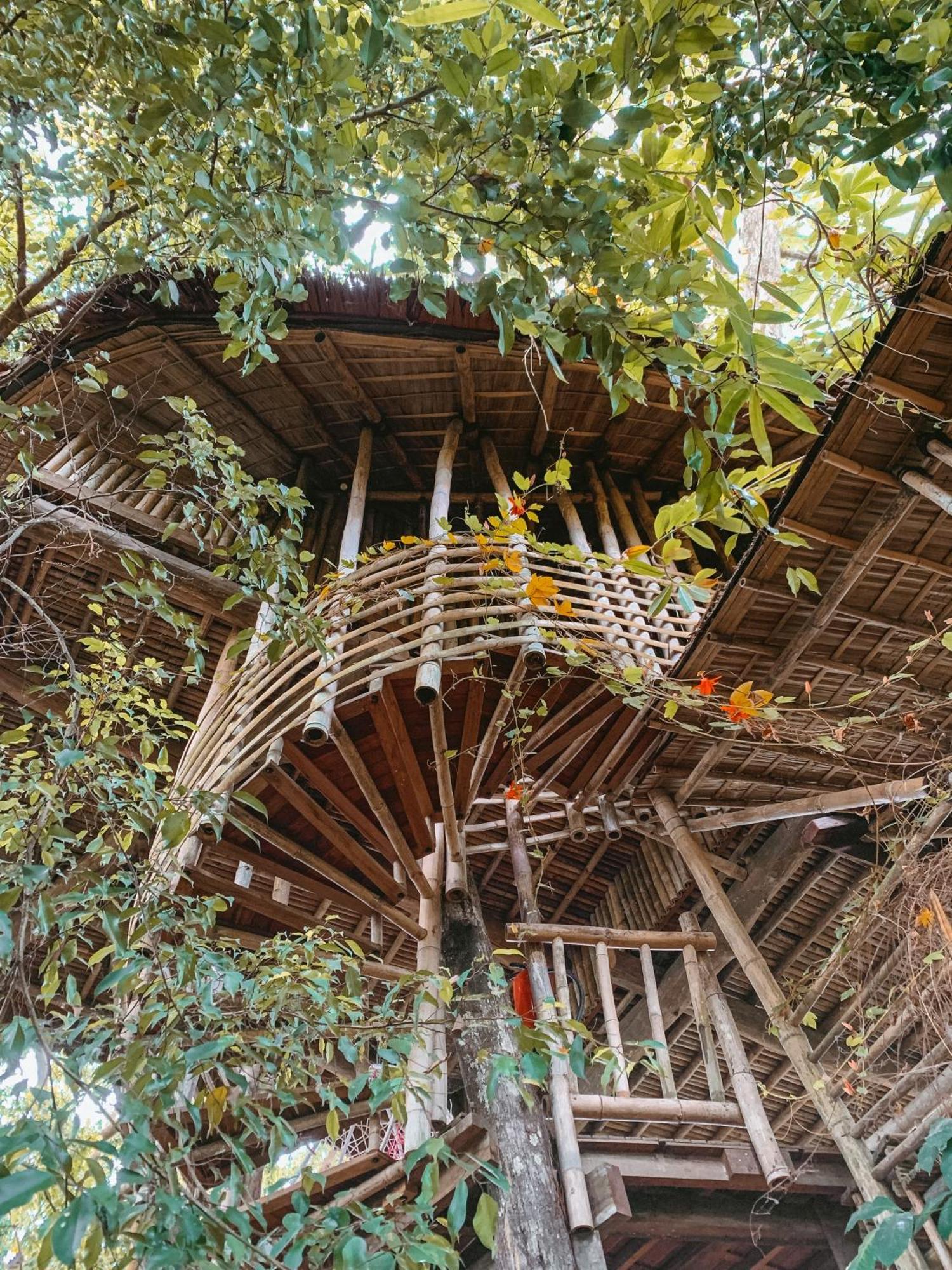Bukit Raya Guesthouse ปาลังการายา ภายนอก รูปภาพ